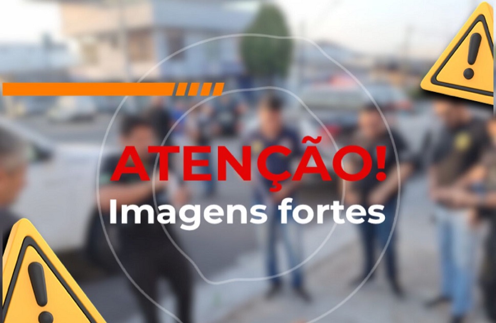 Imagens fortes - Baratinha