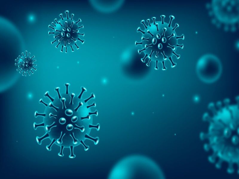 Conheça o vírus Nipah com alto poder que matou jovem