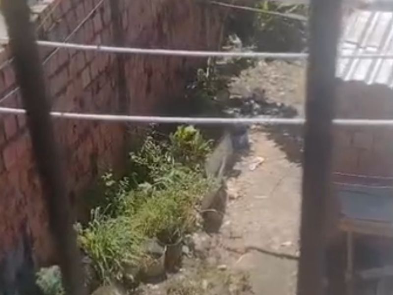 'K11' é executado por quadrilha e mata um dos rivais em Manaus