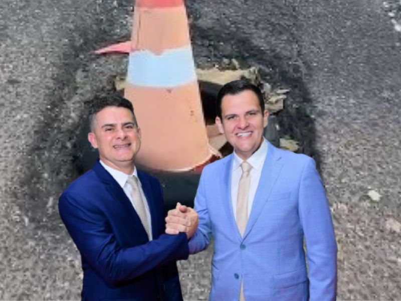 grávida