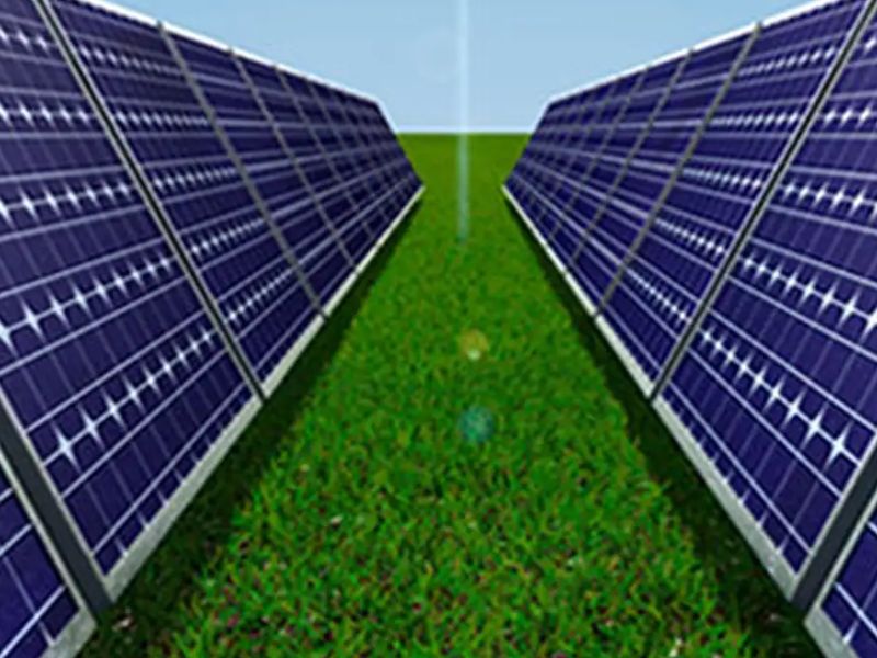 Câmara aprova crédito mais barato para agricultor familiar adotar energia solar