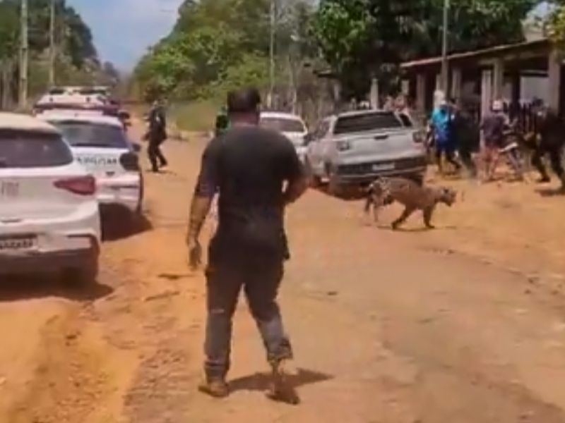 Homem fica ferido ao brigar com onça que tentou invadir creche